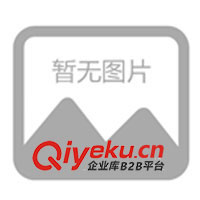 聚合物電池充電器；鎳氫組合充電器，蓄電池充電器等